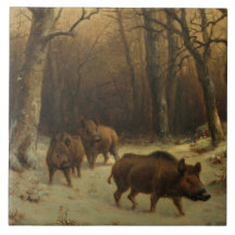 Wilde Boars im Schnee (von Rosa Bonheur)