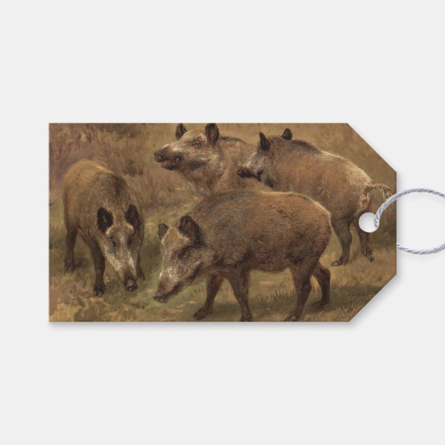 Wilde Boars in einer grasbewachsenen Landschaft (v Geschenkanhänger (Vorderseite (Horizontal))