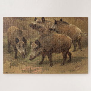 Wilde Boars in einer grasbewachsenen Landschaft (v Puzzle