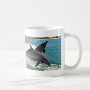Wilde Bottlenose-Delphine, die Sanibel Tasse