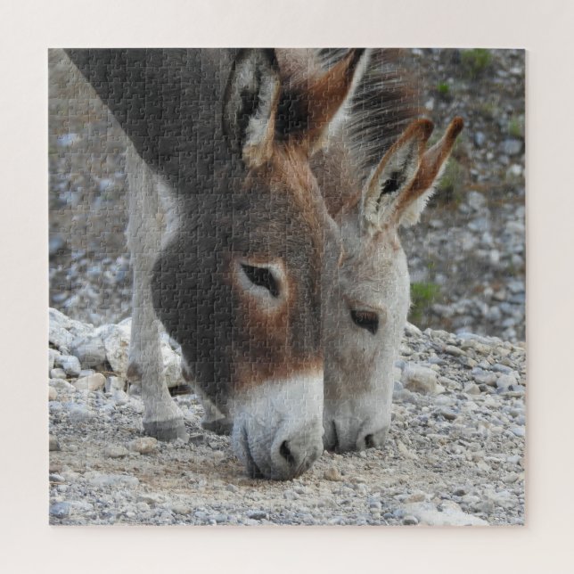 Wilde Burros, Esel, wild lebende Tiere, Puzzle (Vertikal)
