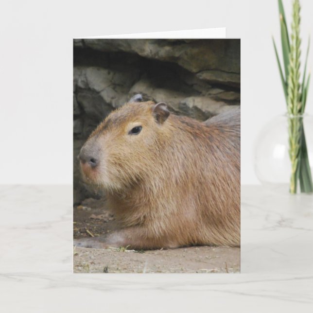 Wilde Capybara-Gruß-Karte Karte (Vorderseite)