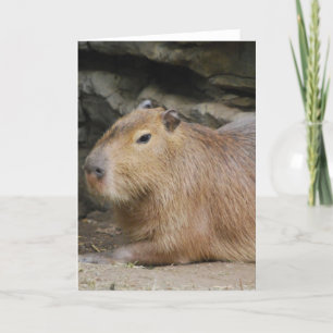 Wilde Capybara-Gruß-Karte Karte