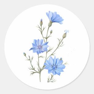Wilde Chicorée Blume Botanische Wasserfarbenwelt Runder Aufkleber