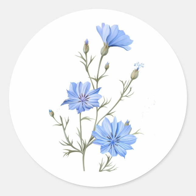 Wilde Chicorée Blume Botanische Wasserfarbenwelt Runder Aufkleber (Vorderseite)