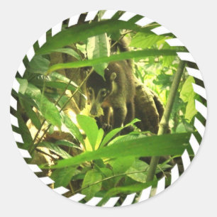 Wilde Coati-Aufkleber Runder Aufkleber