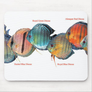 Wilde Diskussion の ス ドウ Mousepad