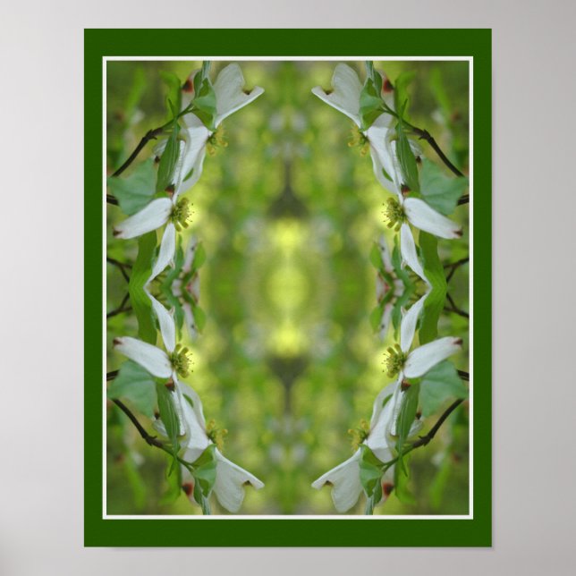 Wilde Dogwood-Blume blüht Abstrakt Poster (Vorne)