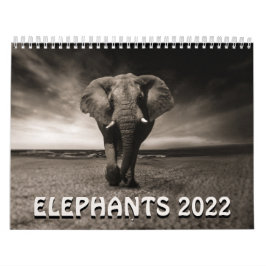 Wilde Elefanten 2022 Kalender