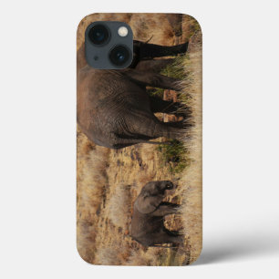 Wilde Elefanten mit Baby-iPad Air-Hüllen Case-Mate iPhone Hülle