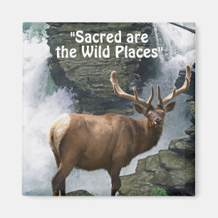 Wilde Elk & Waterfall Wilderness Giftmagnete Magnet
