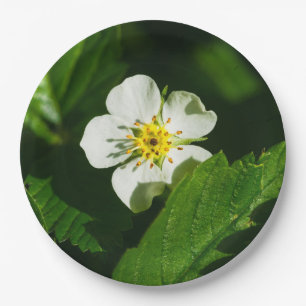 Wilde Erdbeerblüte Pappteller