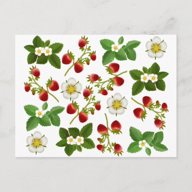 Wilde Erdbeeren Postkarte (Vorderseite)