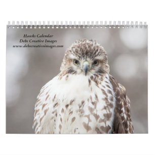 Wilde Falken 2026 Kalender