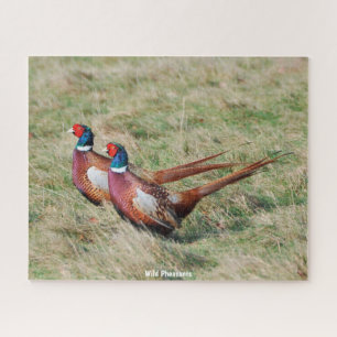 Wilde Fasanen Puzzle