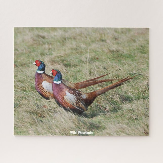 Wilde Fasanen Puzzle (Horizontal)