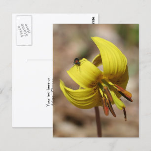 Wilde Forellenlilie Blume und Freund Personalisier Postkarte