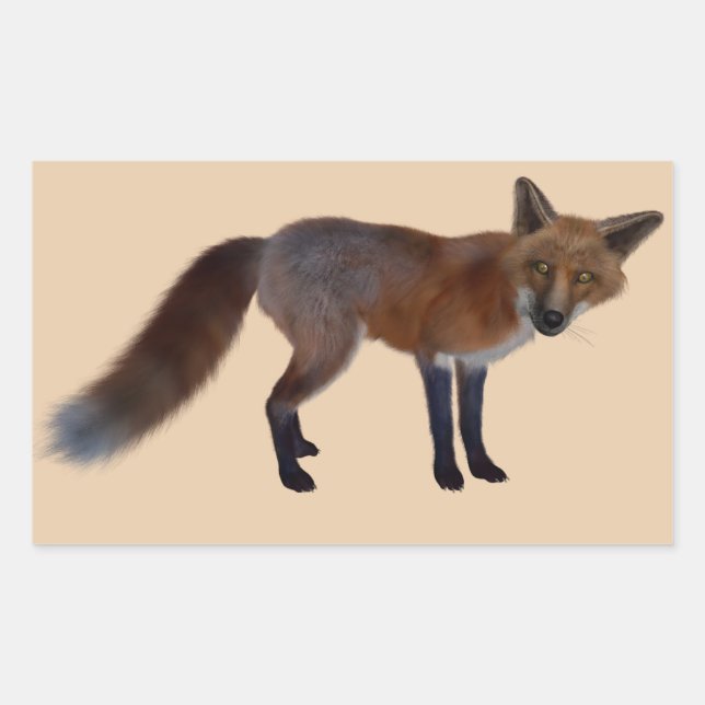 wilde Fuchskleber Rechteckiger Aufkleber (Vorderseite)