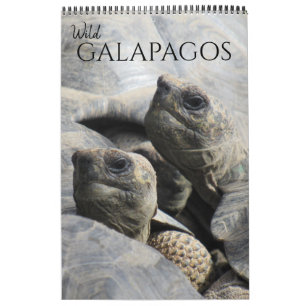 wilde Galapagos 2027 Kalender