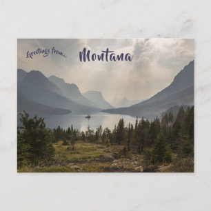 Wilde Gänse Insel Standpunkt Montana Postkarte