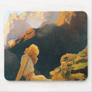 Wilde Gänse von Maxfield Parrish Mousepad