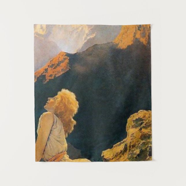 Wilde Gänse von Maxfield Parrish Wandteppich (Vorderseite)