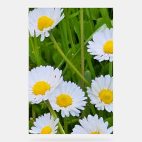 Wilde Gartenblumen Rumänien – Naturfotografie