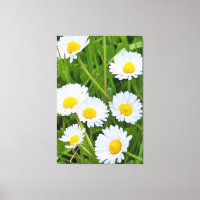 Wilde Gartenblumen Rumänien – Naturfotografie