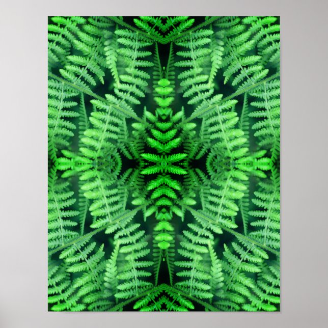Wilde grüne Blattfarne abstrakt       Poster (Vorne)