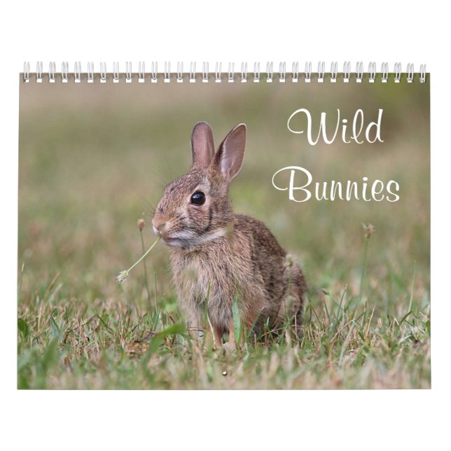 Wilde Häschen Kalender (Titelbild)