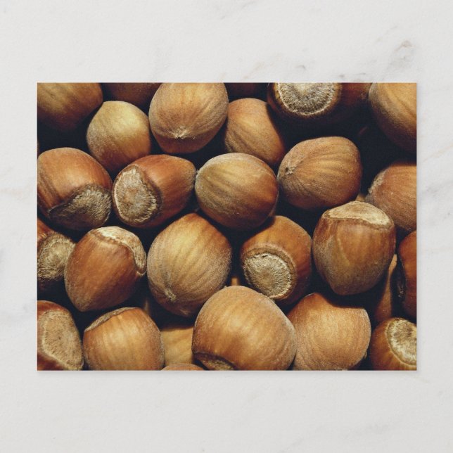 Wilde Haselnuss Postkarte (Vorderseite)