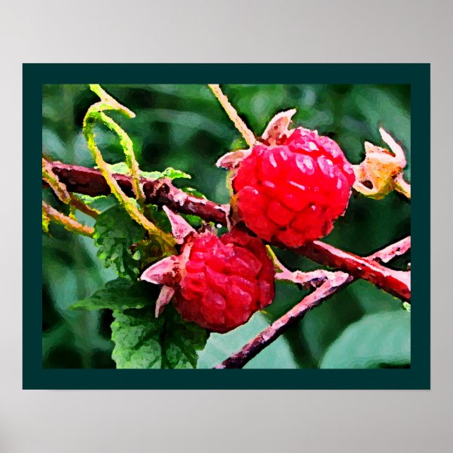 Wilde Himbeeren Poster (Vorne)