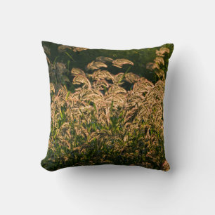 Wilde Hirse (Panicum Sp.) wächst im Feuchtgebiet Kissen