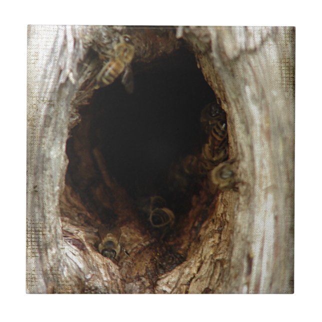Wilde Honigbienen im Hollow Tree Fliese (Vorderseite)