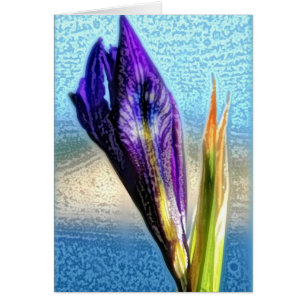 Wilde Iris