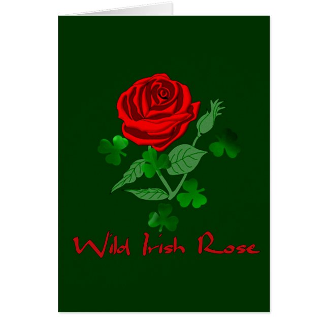 Wilde irische Rose (Vorne)