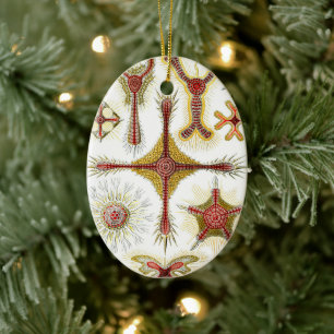 Wilde Kamille von Ernst Haeckel, Vintage Natur Keramik Ornament