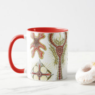 Wilde Kamille von Ernst Haeckel, Vintage Natur Tasse