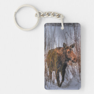 Wilde kanadische Elchkühe im Winterschnee I Schlüsselanhänger