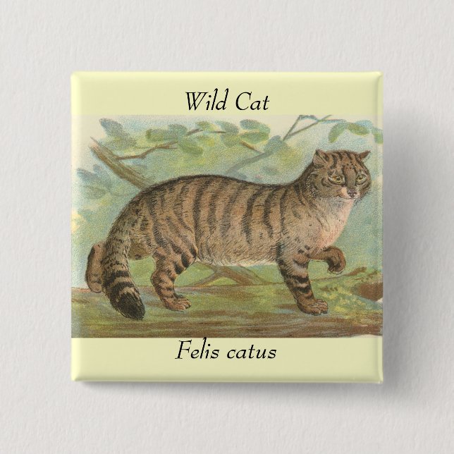 Wilde Katze Button (Vorderseite)