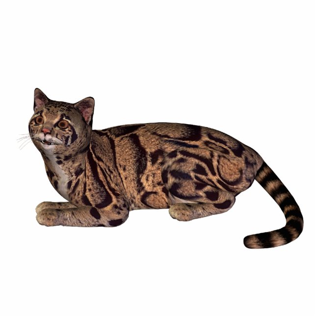 wilde Katze Freistehende Fotoskulptur (Vorne)