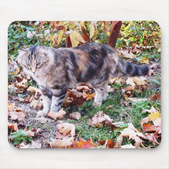Wilde Katze im Herbst Mousepad (Vorne)