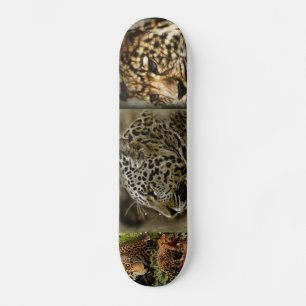 Wilde Katze Jaguars beschmutzt afrikanisches Skateboard