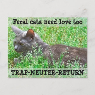 Wilde Katzen-Bedarfs-Liebe - TNR Postkarte