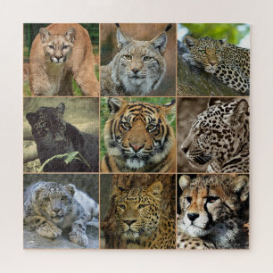 Wilde Katzen Foto Puzzle