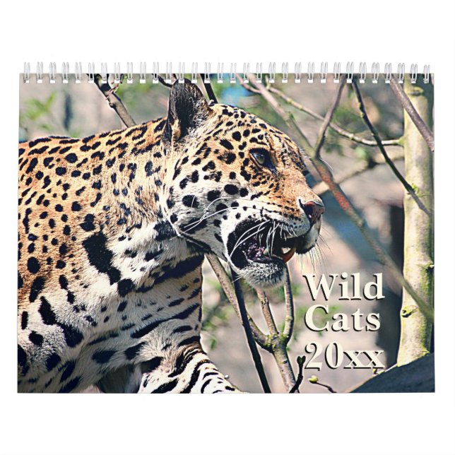 Wilde Katzen-Tiertier-Kalender Kalender (Titelbild)