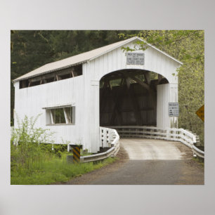 Wilde katzenbedeckte Brücke, Lane-Landkreis, Orego Poster