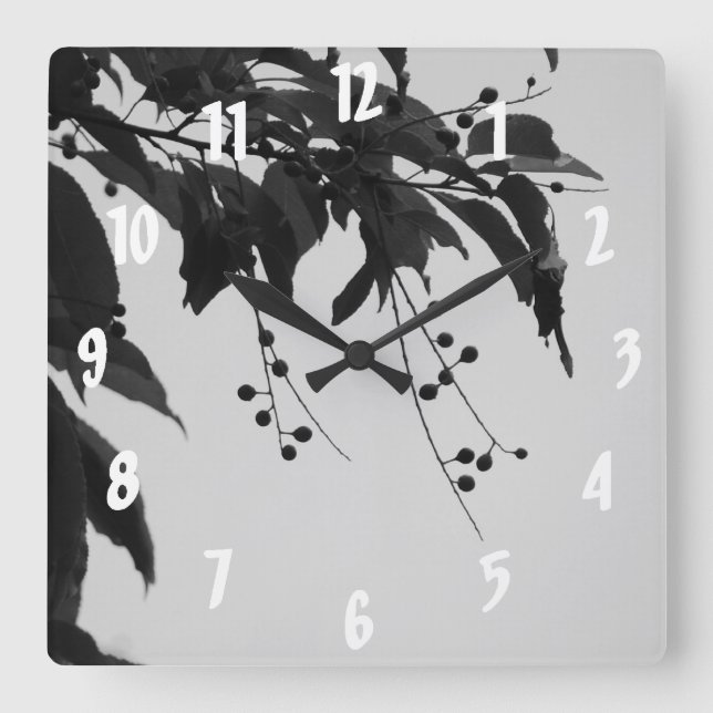 Wilde Kirschen Quadratische Wanduhr (Vorderseite)