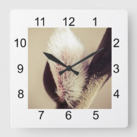 Wilde Knospen - das Vertrauen in das neue Leben