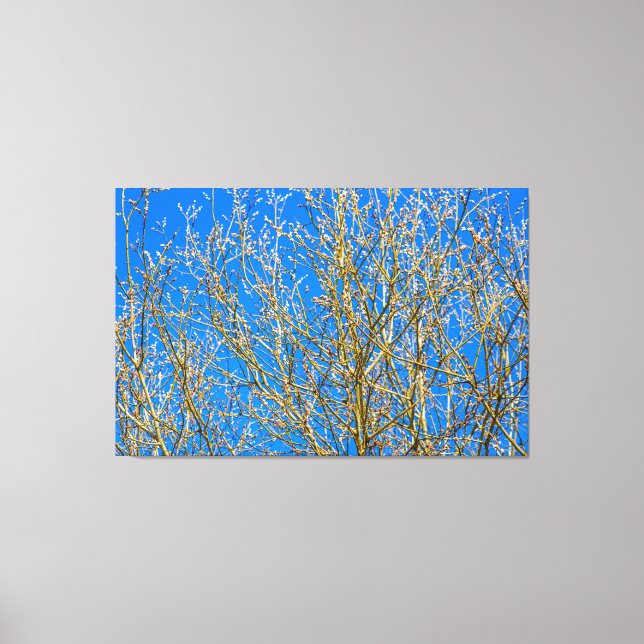 Wilde Knospen - Frühlingsbeginn Leinwanddruck (Vorderseite)